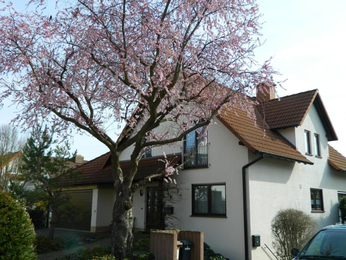 Ferienwohnung Kiko Zornheim Bagian luar foto